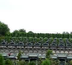 在今后萧山农村信仰发展方面的建议