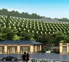 潜心研究佛教,改译佛经