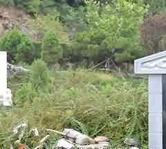 中世纪基督教的信用思想