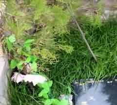 普通百姓与佛教