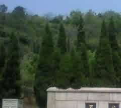 对南方佛学的影响