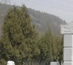 中国佛寺空间格局现状