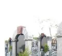 追随如净禅师参禅