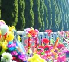 主题思想的深化