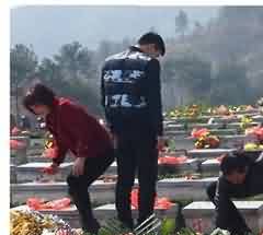 艺术魅力的鲜活