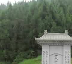 牟宗三判摄唯识学之特征