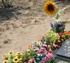 传承生态是必要条件