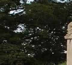 “不立文字”不是“不要文字”、“摒弃文字”