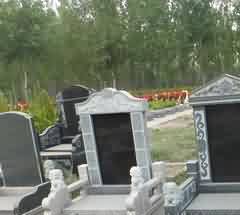 德国等一些国家未在民法典中规定优先权