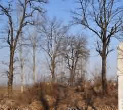 优先权的宗旨符合现代民法的发展趋势和我国社会的现实需要