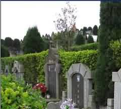 国际警务合作的组织保障