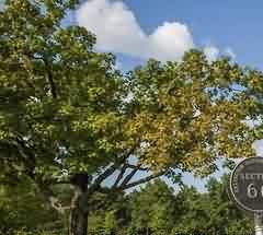 国际警务合作的运行机制