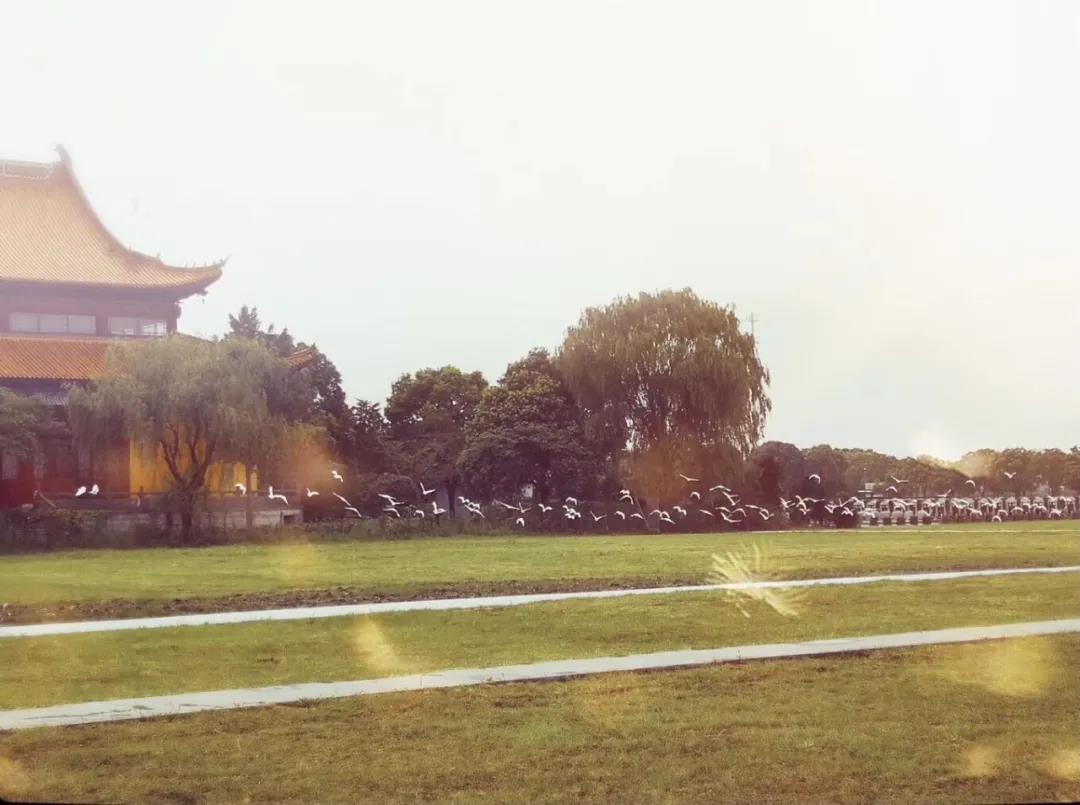 双凤纪念园风景