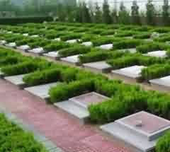 将生态与休闲元素设置为陵园的副轴线