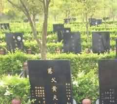 纪念性景观中的植物景观营造探析-以武汉市施洋烈士陵园为例