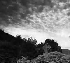 武汉市施洋烈士陵园植物景观设计