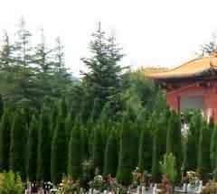 宗教扩大化对婚姻法的干预