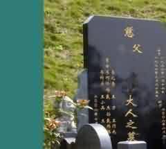 对民族文化的干预