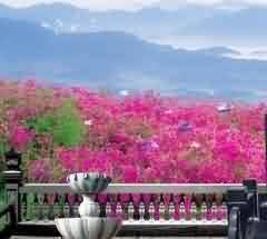 宗教活动场所的主体性