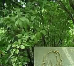 北海市百姓公益墓园规划设计分析