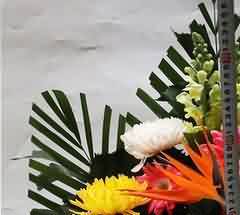 基督教“宗教板依”的信仰化书写