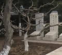 在认知科学影响下宗教的变化