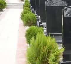 对宗教信仰的重新审视