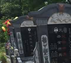 深化对人类局限性的反思