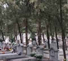 宗教认知科学的不足与前景