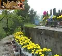 藏传佛教造像具有对宗教理想的虔诚情感特征