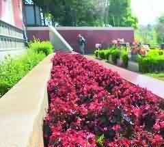 藏传佛教造像具有对神灵的情感依赖特征