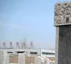 我国征坟困境对策依托