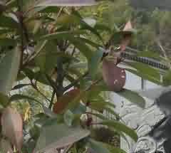 帝王陵墓旅游资源的作用