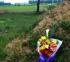 舍利子清点工作