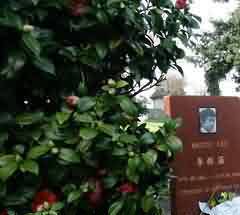 楚族坟墓制度的崩溃与衰亡