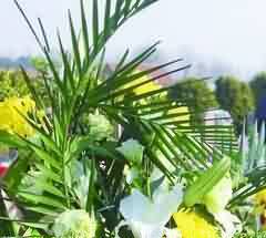 推进行业标准化建设,引领殡仪服务市场健康发展