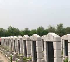 芮国墓地礼制用玉及其使用制度