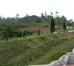 新文化的内涵及惫义