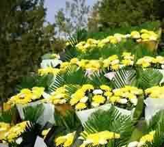 我国公墓使用的价值取向