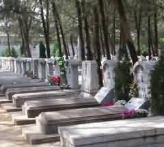 坟墓风水信仰研究现状综述