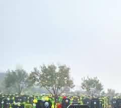 《墓园挽歌》中的隐喻分类及例析