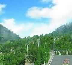 明政府封禁政策的逐渐松弛