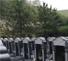 独具匠心的景观组织