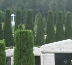 堪典学传承方式的改变