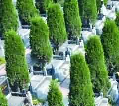 我国丧葬文化的起源