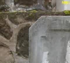 因袭传统与移风易俗