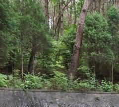 堪舆学对中国古典园林所产生的影响