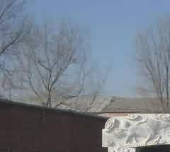 城市公墓运营管理面临的法律问题