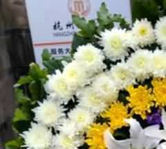 完善我国殡葬服务业法律规制的建议