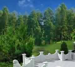 两地区殡葬管理制度的摸索前进阶段